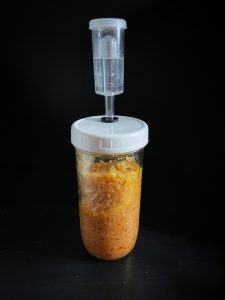 Fermented Garlic Airlock Jar